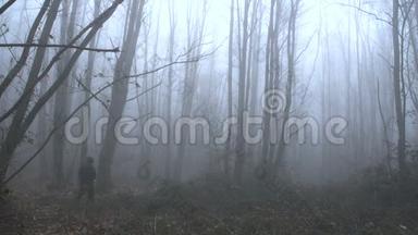 一个孤独的人在雾蒙蒙的森林中离去